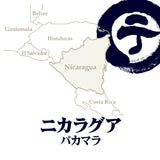 ニカラグア パカマラ
