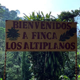 中深煎りニカラグア パカマラ