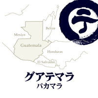 グアテマラ パカマラ